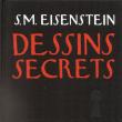 S.M. Eisenstein, Dessins secrets