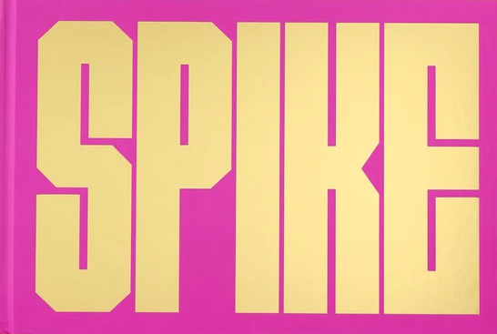 Couverture du livre : Spike