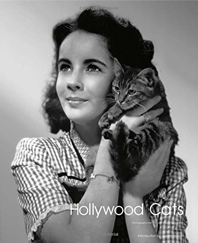 Book cover: Hollywood Cats - Photographs from the John Kobal Foundation