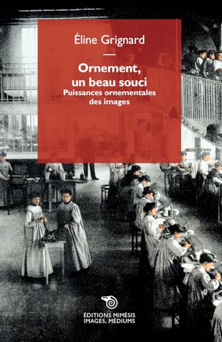 Book cover: Ornement, un beau souci - Puissances ornementales des images