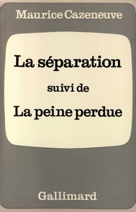 Couverture du livre : La Séparation - suivi de La Peine perdue