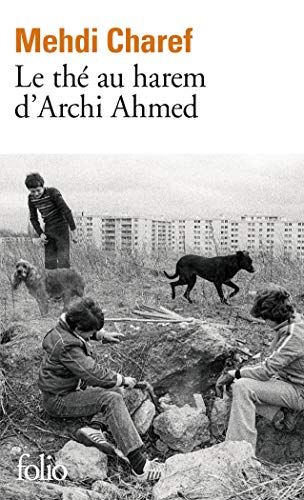 Book cover: Le Thé au harem d'Archi Ahmed