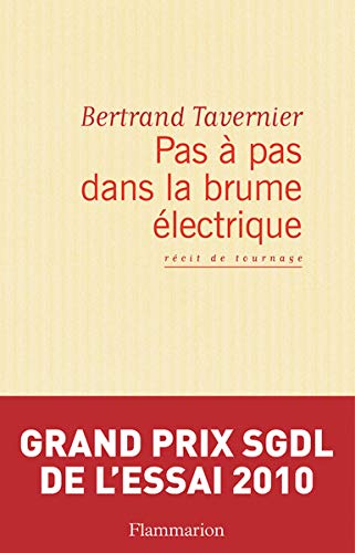 Book cover: Pas à pas dans la brume électrique