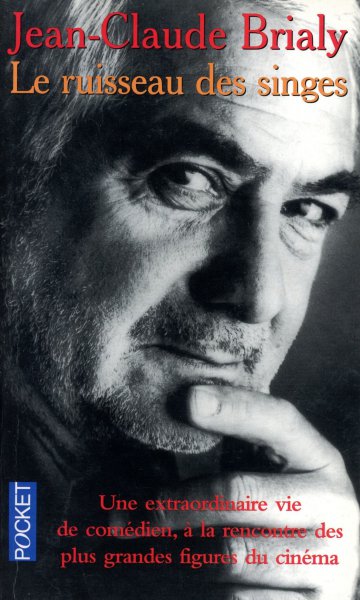 Book cover: Le Ruisseau des singes