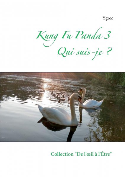 Couverture du livre: Kung Fu Panda 3 - Qui suis-je ?