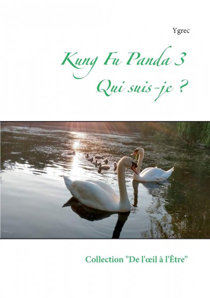 Couverture du livre : Kung Fu Panda 3 - Qui suis-je ?