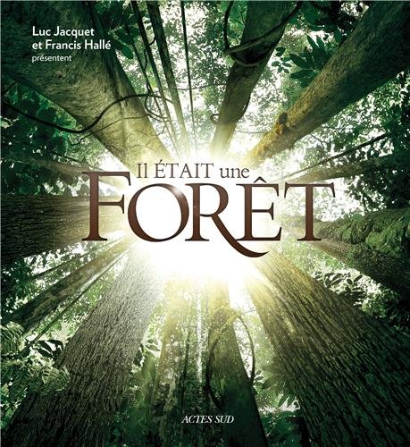 Couverture du livre: Il était une forêt