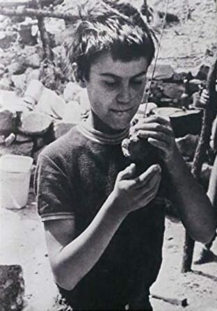 Couverture du livre : Œuvres