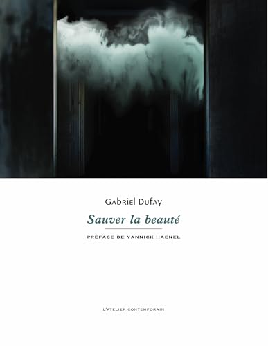 Book cover: Sauver la beauté