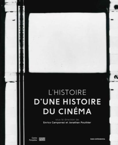 Book cover: L'Histoire d'Une Histoire du cinéma