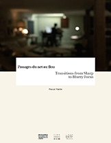 Couverture du livre : Passages du net au flou