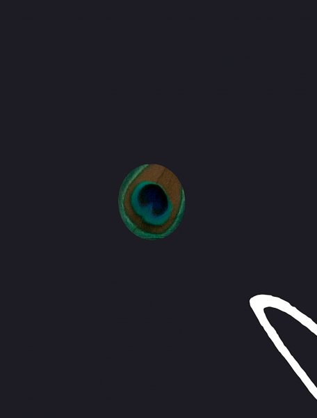 Couverture du livre : Walerian Borowczyk - The Book / Le Livre