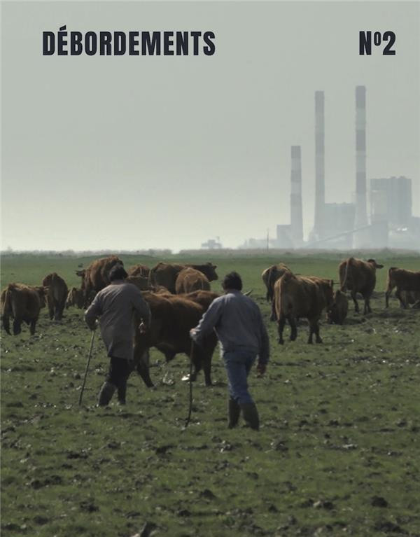 Couverture du livre : Débordements n°2 - Cinéma et écologie