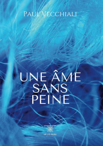 Couverture du livre : Une âme sans peine - roman