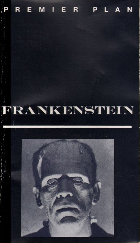 Book cover: Frankenstein