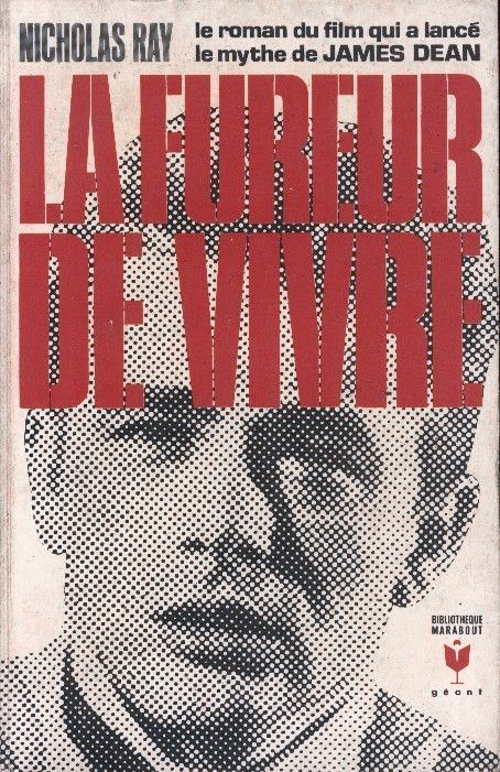 Couverture du livre : La Fureur de vivre