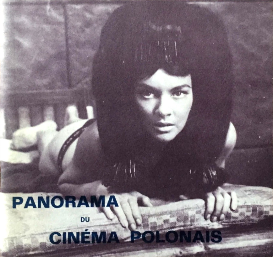Book cover: Panorama du cinéma polonais