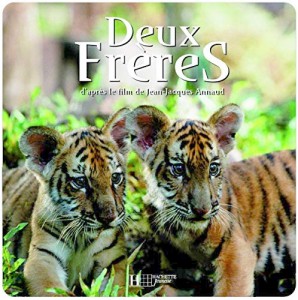 Couverture du livre Deux frères - Collectif