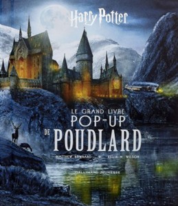 Couverture du livre Harry Potter par Matthew Reinhart et Jody Revenson