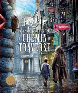 Couverture du livre Harry Potter par Matthew Reinhart