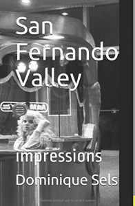 Couverture du livre San Fernando Valley par Dominique Sels
