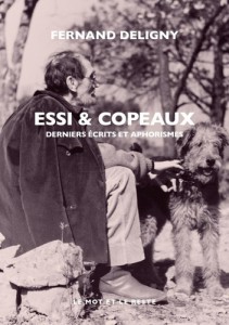 Couverture du livre Essi & Copeaux - de Fernand Deligny