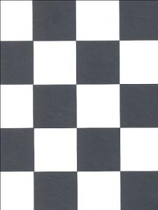 Cover of the book Le Livre des disparitions & des tractations - by Raoul Ruiz