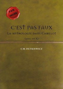 Couverture du livre C'est pas faux - de C. M. Dutkiewicz