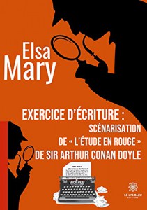 Couverture du livre Exercice d'écriture par Elsa Mary