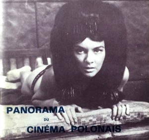 Cover of the book Panorama du cinéma polonais - by Philippe Esnault and Philippe Haudiquet