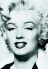 Silver Marilyn:Marilyn Monroe and the Camera