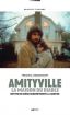 Amityville, la maison du diable:Mettre en scène concrètement la hantise